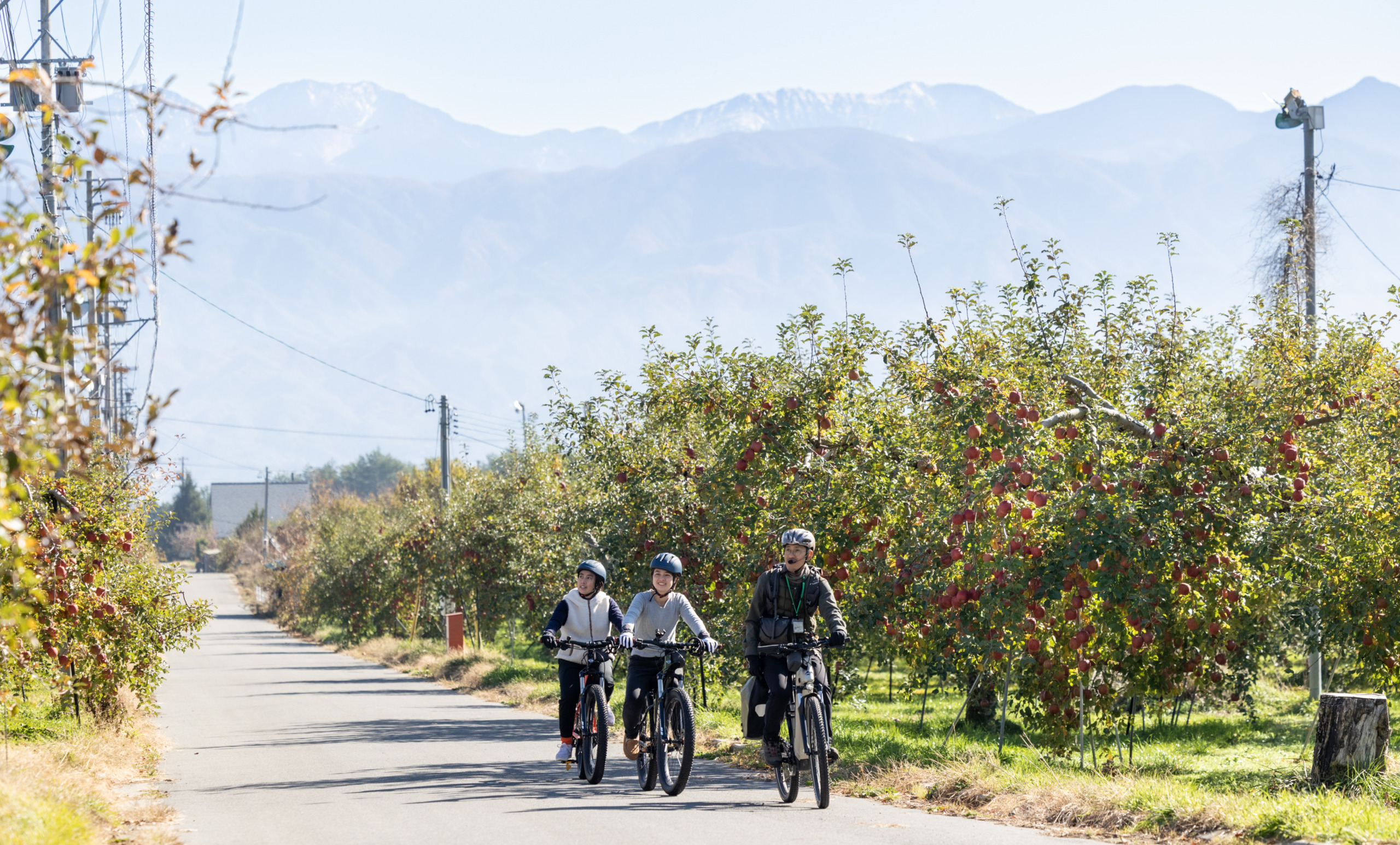 🌿 Discover the Beauty of Shinshu’s Orchards and Start Your Exclusive Journey! 🌿